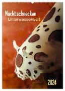 Nacktschnecken - Unterwasserwelt 2024 (Wandkalender 2024 DIN A2 hoch), CALVENDO Monatskalender