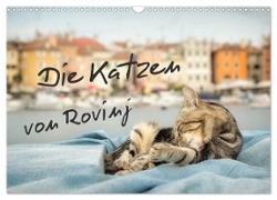 Die Katzen von Rovinj (Wandkalender 2024 DIN A3 quer), CALVENDO Monatskalender