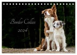 Border Collies 2024 (Tischkalender 2024 DIN A5 quer), CALVENDO Monatskalender