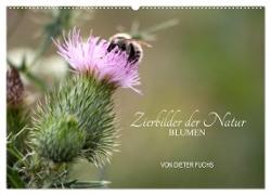 Zierbilder der Natur BLUMEN (Wandkalender 2024 DIN A2 quer), CALVENDO Monatskalender