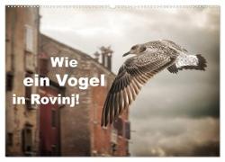 Wie ein Vogel in Rovinj! (Wandkalender 2024 DIN A2 quer), CALVENDO Monatskalender