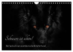 Schwarz ist schön! Der lackschwarze altdeutsche Schäferhund (Wandkalender 2024 DIN A4 quer), CALVENDO Monatskalender