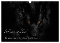 Schwarz ist schön! Der lackschwarze altdeutsche Schäferhund (Wandkalender 2024 DIN A3 quer), CALVENDO Monatskalender
