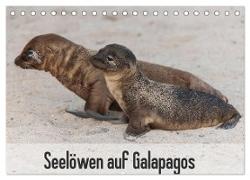 Seelöwen auf Galapagos (Tischkalender 2024 DIN A5 quer), CALVENDO Monatskalender