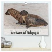 Seelöwen auf Galapagos (hochwertiger Premium Wandkalender 2024 DIN A2 quer), Kunstdruck in Hochglanz