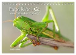 Falter, Käfer und Co.faszinierend, doch extrem gefährdet (Tischkalender 2024 DIN A5 quer), CALVENDO Monatskalender