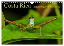 Costa Rica Begegnungen im Regenwald (Wandkalender 2024 DIN A4 quer), CALVENDO Monatskalender