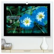 Goethes Blau. Gedanken zur Farbe (hochwertiger Premium Wandkalender 2024 DIN A2 quer), Kunstdruck in Hochglanz