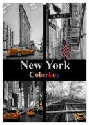 New York Colorkey (Wandkalender 2024 DIN A2 hoch), CALVENDO Monatskalender