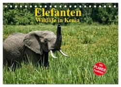 Elefanten . Wildlife in Kenia (Tischkalender 2024 DIN A5 quer), CALVENDO Monatskalender