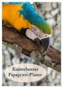Kunterbunter Papageien-Planer (Wandkalender 2024 DIN A3 hoch), CALVENDO Monatskalender