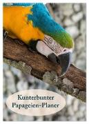 Kunterbunter Papageien-Planer (Wandkalender 2024 DIN A2 hoch), CALVENDO Monatskalender