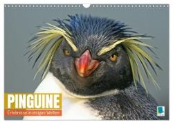 Pinguine: Erlebnisse in eisigen Welten (Wandkalender 2024 DIN A3 quer), CALVENDO Monatskalender