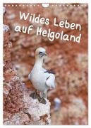 Wildes Leben auf Helgoland (Wandkalender 2024 DIN A4 hoch), CALVENDO Monatskalender