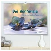 Die Hortensie und ihre vielen Gesichter (hochwertiger Premium Wandkalender 2024 DIN A2 quer), Kunstdruck in Hochglanz