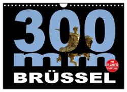 300mm - Brüssel (Wandkalender 2024 DIN A4 quer), CALVENDO Monatskalender