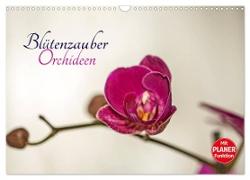 Blütenzauber Orchideen (Wandkalender 2024 DIN A3 quer), CALVENDO Monatskalender