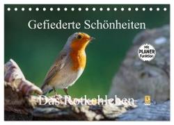 Gefiederte Schönheiten - Das Rotkehlchen / Planer (Tischkalender 2024 DIN A5 quer), CALVENDO Monatskalender