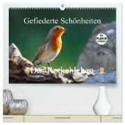 Gefiederte Schönheiten - Das Rotkehlchen / Planer (hochwertiger Premium Wandkalender 2024 DIN A2 quer), Kunstdruck in Hochglanz