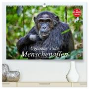 Ugandas wilde Menschenaffen (hochwertiger Premium Wandkalender 2024 DIN A2 quer), Kunstdruck in Hochglanz