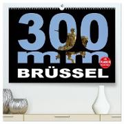 300mm - Brüssel (hochwertiger Premium Wandkalender 2024 DIN A2 quer), Kunstdruck in Hochglanz
