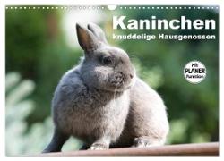Kaninchen - knuddelige Hausgenossen (Wandkalender 2024 DIN A3 quer), CALVENDO Monatskalender