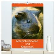 Meerschweinchen und Kaninchen Familienplaner (hochwertiger Premium Wandkalender 2024 DIN A2 hoch), Kunstdruck in Hochglanz