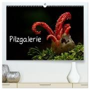 Pilzgalerie (hochwertiger Premium Wandkalender 2024 DIN A2 quer), Kunstdruck in Hochglanz