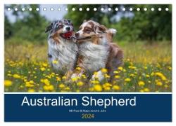 Australian Shepherd 2024 (Tischkalender 2024 DIN A5 quer), CALVENDO Monatskalender
