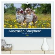 Australian Shepherd 2024 (hochwertiger Premium Wandkalender 2024 DIN A2 quer), Kunstdruck in Hochglanz