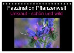 Faszination Pflanzenwelt - Unkraut, schön und wild (Tischkalender 2024 DIN A5 quer), CALVENDO Monatskalender