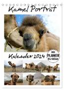 Kamel Porträt (Tischkalender 2024 DIN A5 hoch), CALVENDO Monatskalender