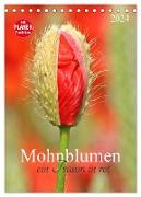 Mohnblumen-ein Traum in rot (Tischkalender 2024 DIN A5 hoch), CALVENDO Monatskalender