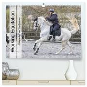 Working Equitation (hochwertiger Premium Wandkalender 2024 DIN A2 quer), Kunstdruck in Hochglanz