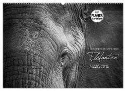 Emotionale Momente: Elefanten in black and white (Wandkalender 2024 DIN A2 quer), CALVENDO Monatskalender