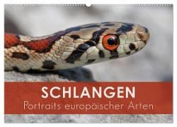 Schlangen - Portraits europäischer Arten (Wandkalender 2024 DIN A2 quer), CALVENDO Monatskalender