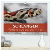 Schlangen - Portraits europäischer Arten (hochwertiger Premium Wandkalender 2024 DIN A2 quer), Kunstdruck in Hochglanz