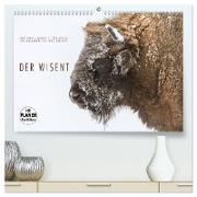 Emotionale Momente: Der Wisent. (hochwertiger Premium Wandkalender 2024 DIN A2 quer), Kunstdruck in Hochglanz