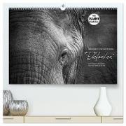 Emotionale Momente: Elefanten in black and white (hochwertiger Premium Wandkalender 2024 DIN A2 quer), Kunstdruck in Hochglanz