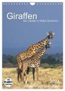 Giraffen - Die Grazien in Afrikas Savannen (Wandkalender 2024 DIN A4 hoch), CALVENDO Monatskalender