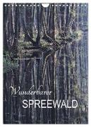 Wunderbarer Spreewald (Wandkalender 2024 DIN A4 hoch), CALVENDO Monatskalender