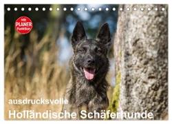 ausdrucksvolle Holländische Schäferhunde (Tischkalender 2024 DIN A5 quer), CALVENDO Monatskalender