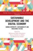 Sustainable Development and the Digital Economy