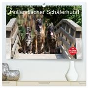 Holländischer Schäferhund (hochwertiger Premium Wandkalender 2024 DIN A2 quer), Kunstdruck in Hochglanz