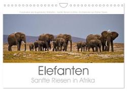 Elefanten - Sanfte Riesen in Afrika (Wandkalender 2024 DIN A4 quer), CALVENDO Monatskalender