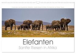 Elefanten - Sanfte Riesen in Afrika (Wandkalender 2024 DIN A3 quer), CALVENDO Monatskalender