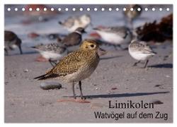 Limikolen Watvögel auf dem Zug (Tischkalender 2024 DIN A5 quer), CALVENDO Monatskalender