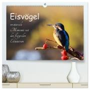 Eisvögel - emotionale Momente mit den fliegenden Edelsteinen (hochwertiger Premium Wandkalender 2024 DIN A2 quer), Kunstdruck in Hochglanz