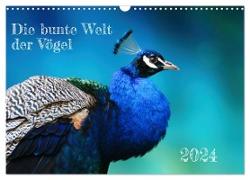 Die bunte Welt der Vögel (Wandkalender 2024 DIN A3 quer), CALVENDO Monatskalender