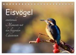 Eisvögel - emotionale Momente mit den fliegenden Edelsteinen (Tischkalender 2024 DIN A5 quer), CALVENDO Monatskalender